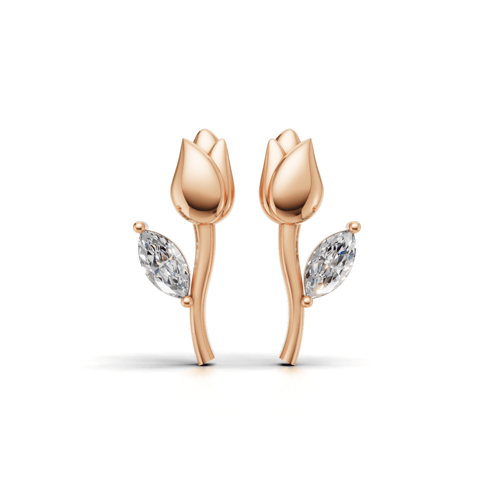 Tulip Bloom Earnings